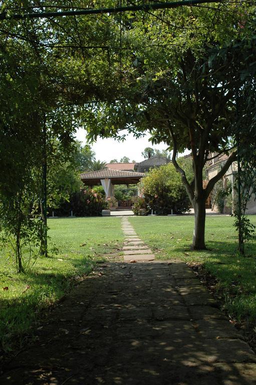 Azienda Agrituristica Seliano Paestum Room photo