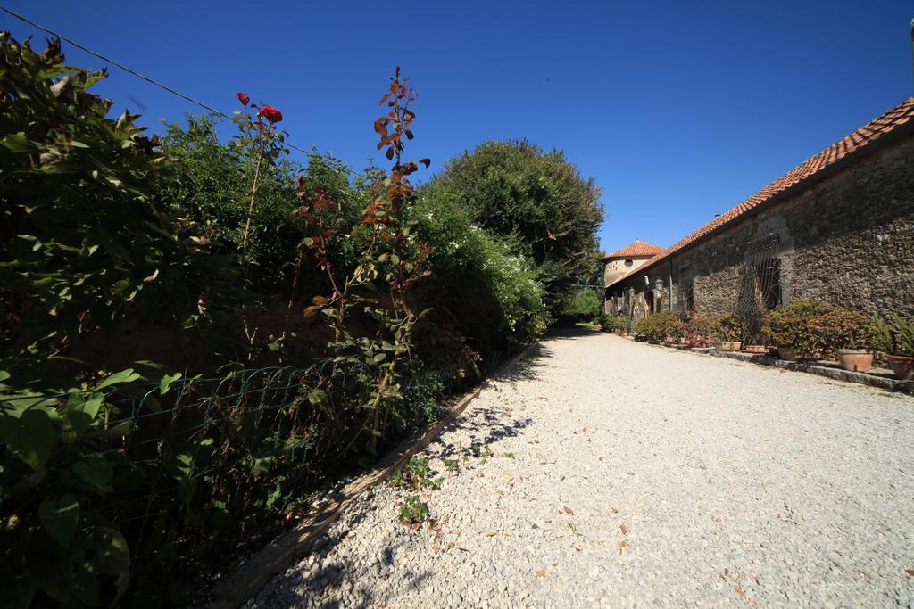 Azienda Agrituristica Seliano Paestum Exterior photo