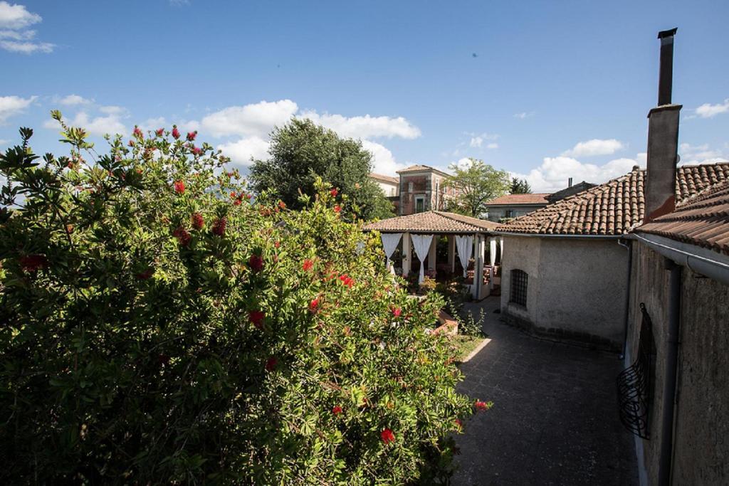 Azienda Agrituristica Seliano Paestum Room photo